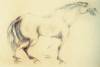 Braying horse, 1972