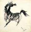 Horse in motion, 1972